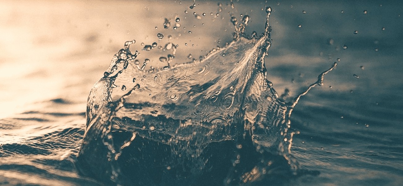 Discover Wasaga Beach: The Perfect Family Getaway with Cool Vacation Rentals photo 1519455953755 af066f52f1a6